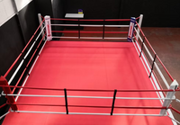 Red boxing ring with black ropes in a gym setting