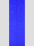 Blue Professional Boxing Ring Canvas – Heavy Duty 