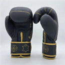 DAAN Apex boxing gloves front and palm, star emblem detail