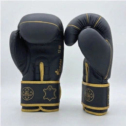 DAAN Apex boxing gloves front and palm, star emblem detail